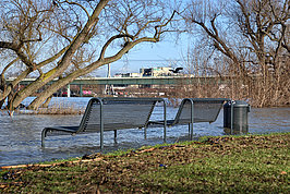 Bernhard Saalfeld - Baenke Rheinpark